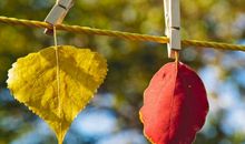 文艺唯美悲伤句子