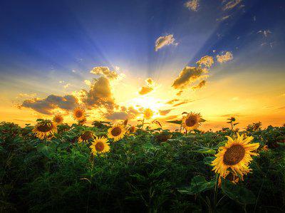 生活不可避免地受到一些不满和伤害