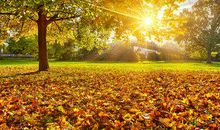 早上的问候短信