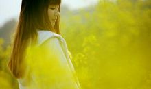 描写草地的优美句子