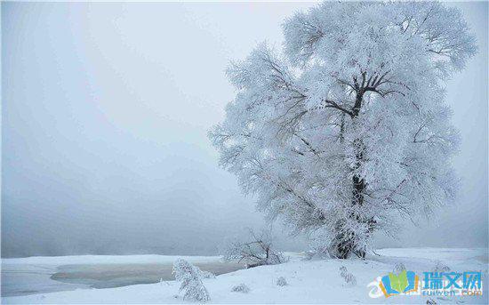 Xue学贤尽其所能地挥舞着袖子