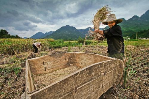 请欣赏小编撰写的关于劳动的幸福描述的句子