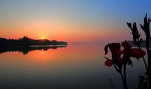 关于人生心静的句子