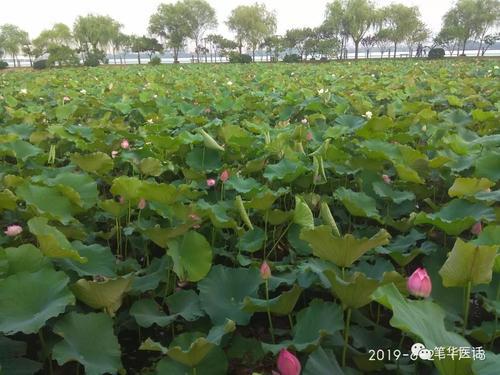 流下真诚的眼泪