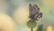 2019最新中秋节思乡的句子