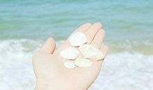 表示姐妹友情文艺句子