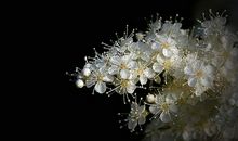 青春的座右铭大全