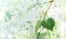 描写很开心的经典句子