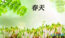 描写春天清新美好的温柔句子