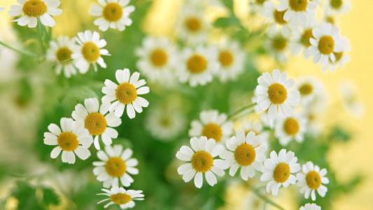 考试后哪些句子非常轻松愉快