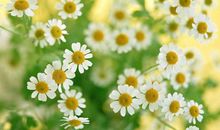 考试心情好的开心句子