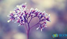 富含内涵的经典话