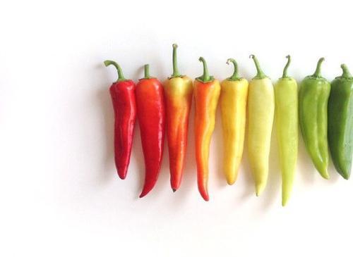 世界就会为您增色