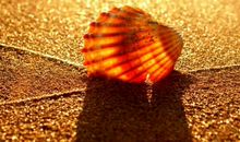 很励志的文艺句子2019