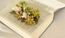 开心感慨的句子