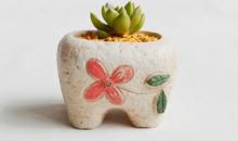 写一段开心的句子有哪些