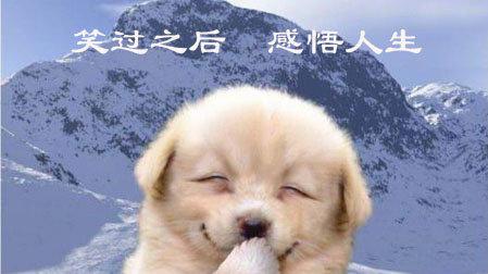 懂幽默和幽默的人通常会很高兴