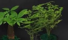 表示开心文艺的句子有哪些