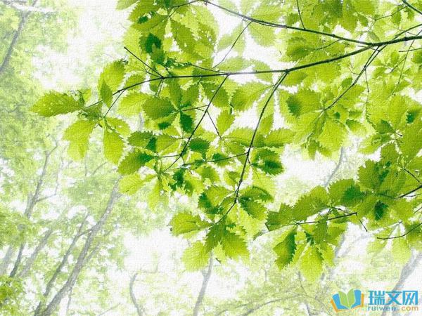 我漫步在乡间小路上