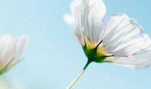 那些忧伤文艺的句子大全