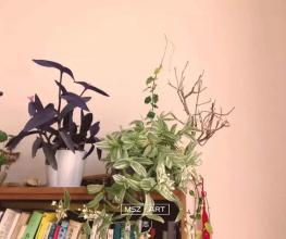 关于给女友一个幸福的时光