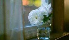 心碎感悟的句子