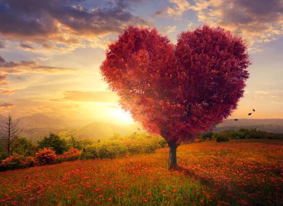   第1部分：最悲伤的爱情选择  1