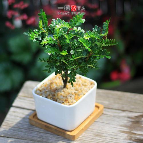 请享受让我的女朋友开心的句子