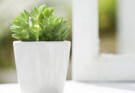 请喜欢由编辑组织的关于幸福的亲人的句子