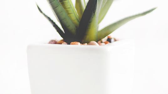 小编整理了一些关于形容亲情的英语句子唯美句子