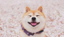 劝人打开心结的句子