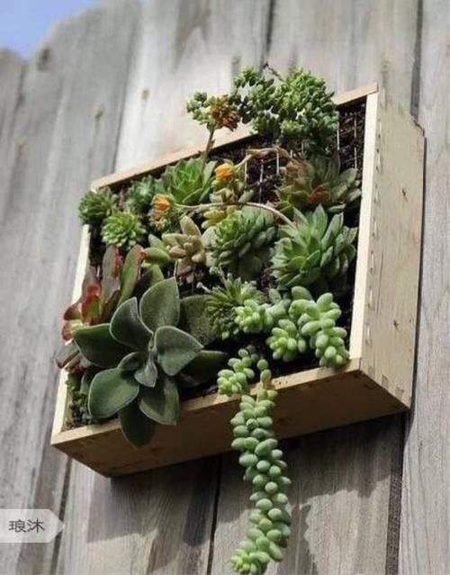 希望大家喜欢呀1、Where we love is home