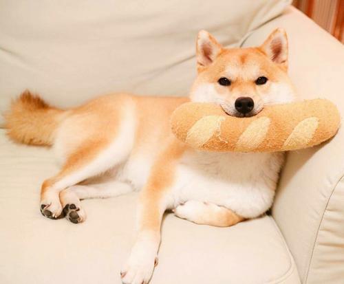 编辑整理了几句幽默的句子