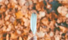 冬季唯美语录 形容冬天唯美经典句子