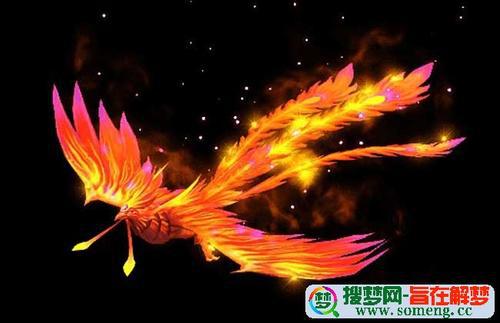   梦见凤凰