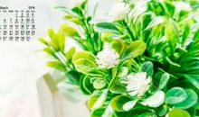 关于亲情的名句优美句子