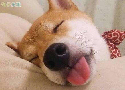 丈夫对妻子说：今天是3月8日妇女节