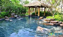 温柔到发光的句子