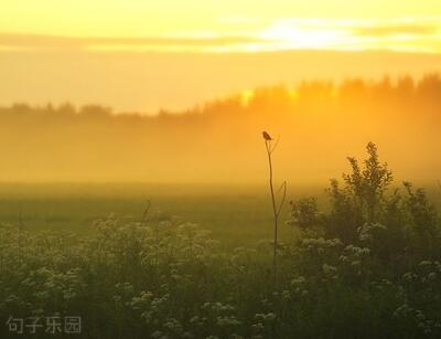 二是一本书读到大脑