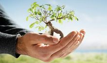 关于希望的人生感悟句子