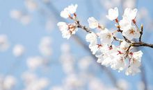 关于心静的句子