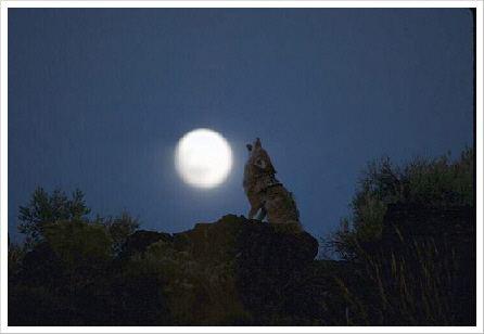 做人比做善事更重要