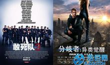 分歧者中的经典句子