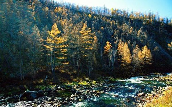 很久没见到你了