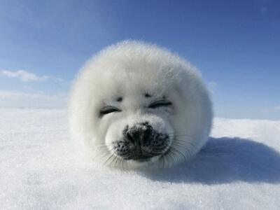 从最初的1000家发廊到现在的数百万