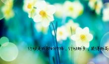 关于勇于面对挫折的优美句子