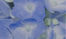 那些一读就心酸得想哭的句子