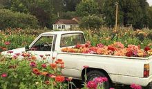 抖音感人的句子