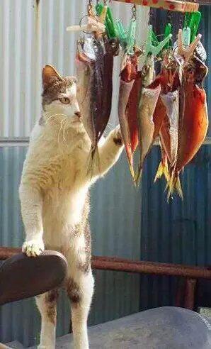 我已经达到法定结婚年龄