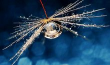 安慰别人节哀的话